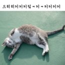 키키키키 이미지