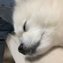온양슈즈마트 | 8월!! 어쨌거나 팔월 시작!