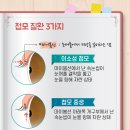 고양이속눈썹 이미지
