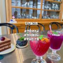 티앤블라썸