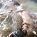 청산명가 이미지