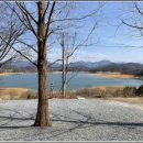 청풍호반 오토캠핑장 이미지