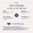 플로허그