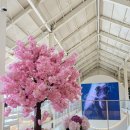 대명항 1로 이미지