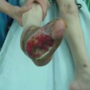 디앤에프 이미지