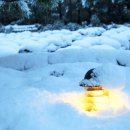 서일 농장 이미지