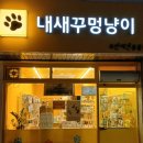내새꾸멍냥이
