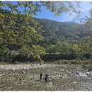 해담 구룡령 야영장 이미지