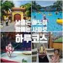 김반미(Kim Banh Mi) | 낮에는 하노이 밤에는 사파로｜슬리핑 열차타고 사파가기,반미,꽌안응온,쩐꾸옥사원,하노이 서커스 _4