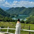 홍이목장 이미지