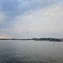 태안호스릴-19 | 태안 출조 후기 (24/09/03) <쭈>