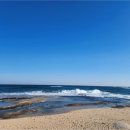 비놀리안 이미지