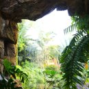 상동호수공원 이미지