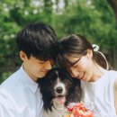 룩앳마이 | [애견 스냅] 반려견과 필름무드 세미웨딩촬영 후기!(ft. 룩앳마이테일필름)