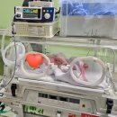 강대전 | 강대 병원 출산후기 -2(입원수속/입원~수술까지)