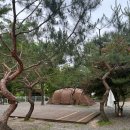 포시즌캠핑장 | 가평 포시즌캠핑장 / 올해 캠핑은 없다던 사람의 새집 첫피칭⛺️