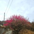 달팽이화장실[청학-1] | 밀양 가볼만한 곳 뱅글뱅글 돌아가는 밀양 용두산 달팽이 전망대 후기