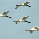 새들의천국 이미지