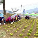 산청읍사무소 이미지