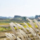 마린센타 이미지