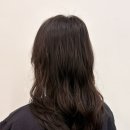 청담동 청담 미용실 건강한펌 은서 디자이너님 뿌리파마 헤어스파 후기