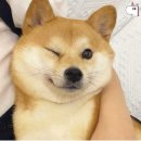 네스트베이커리카페