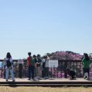 CU 강화송해점 | 인천ㅣ고려산 진달래 실시간, 꼭 가봐야할 진달래 명소 (추천코스, 주차, 꿀팁)