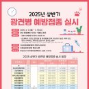 서면Q외과동물병원