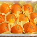 대운농장 이미지