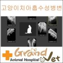 그랜드벳동물병원 이미지