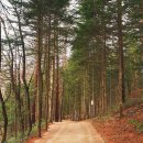 방아다리쉼터1 이미지