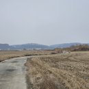 김포평화누리길 3코스 이미지