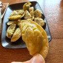 해동일터 | 과채주스인 내 몸에 베지셀 메이킹 7.4와 우리밀 노랑 꼬마 채식만두(비건)건강 간식 후기