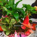 효포초등학교 이미지