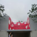 망고게스트하우스 이미지