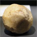 중산동 취락유적 | ‘고대 마을 시지(時至)’, 수천 년 잠에서 깨어나다