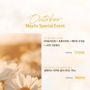 메이린(MAYLIN) 이미지