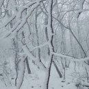 장곡초교 이미지