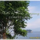 백송식당 이미지