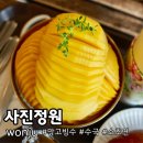 사진정원 | 원주빙수맛집 반려견 동반 여름 유럽 수국 가득한 사진정원 망고빙수 솔직 후기