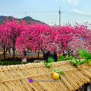 도화보건지소 이미지