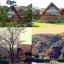 안계마을회관 이미지