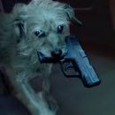 금성당약국 이미지