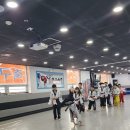 용인대유일태권도특공무술 이미지