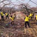 영동자원 이미지