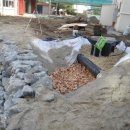 신화초등학교 이미지