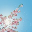 다독 스쿨 이미지