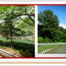 산노울가든 이미지