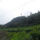 장평부동산공인중개사사무소 이미지