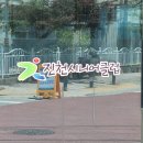 도레미식당(진천시니어클럽)